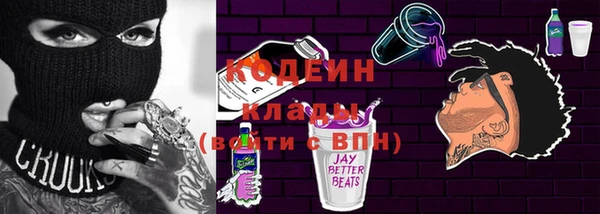 мдпв Михайлов