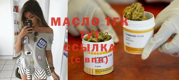 гидра Михайловка