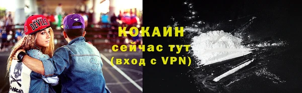 гидра Михайловка
