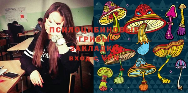 гидра Михайловка