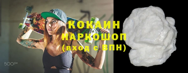 гидра Михайловка