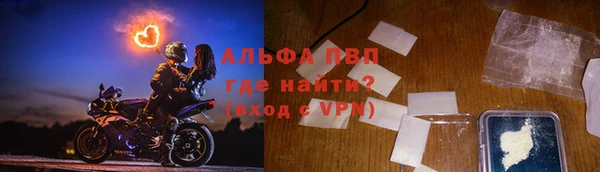 амф Гусев