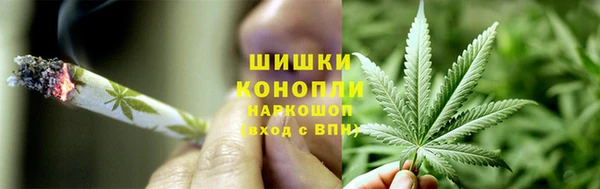 гидра Михайловка