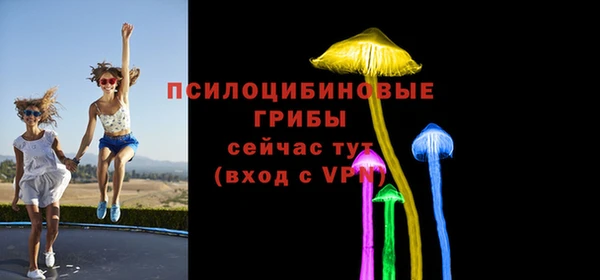 экстази Дмитриев