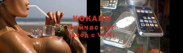 мдпв Михайлов