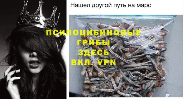 ALPHA PVP Гусиноозёрск