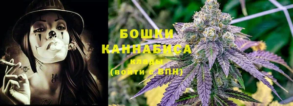 гидра Михайловка