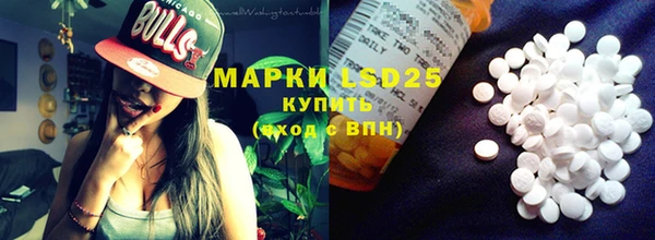 гидра Михайловка