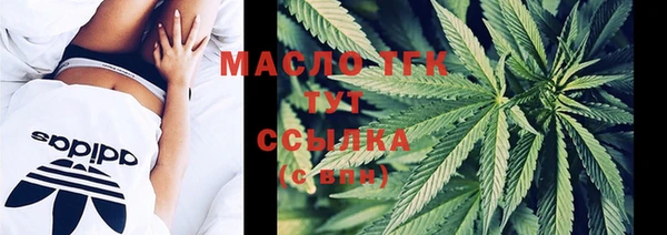 гидра Михайловка