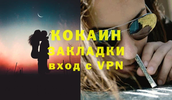 мдпв Михайлов